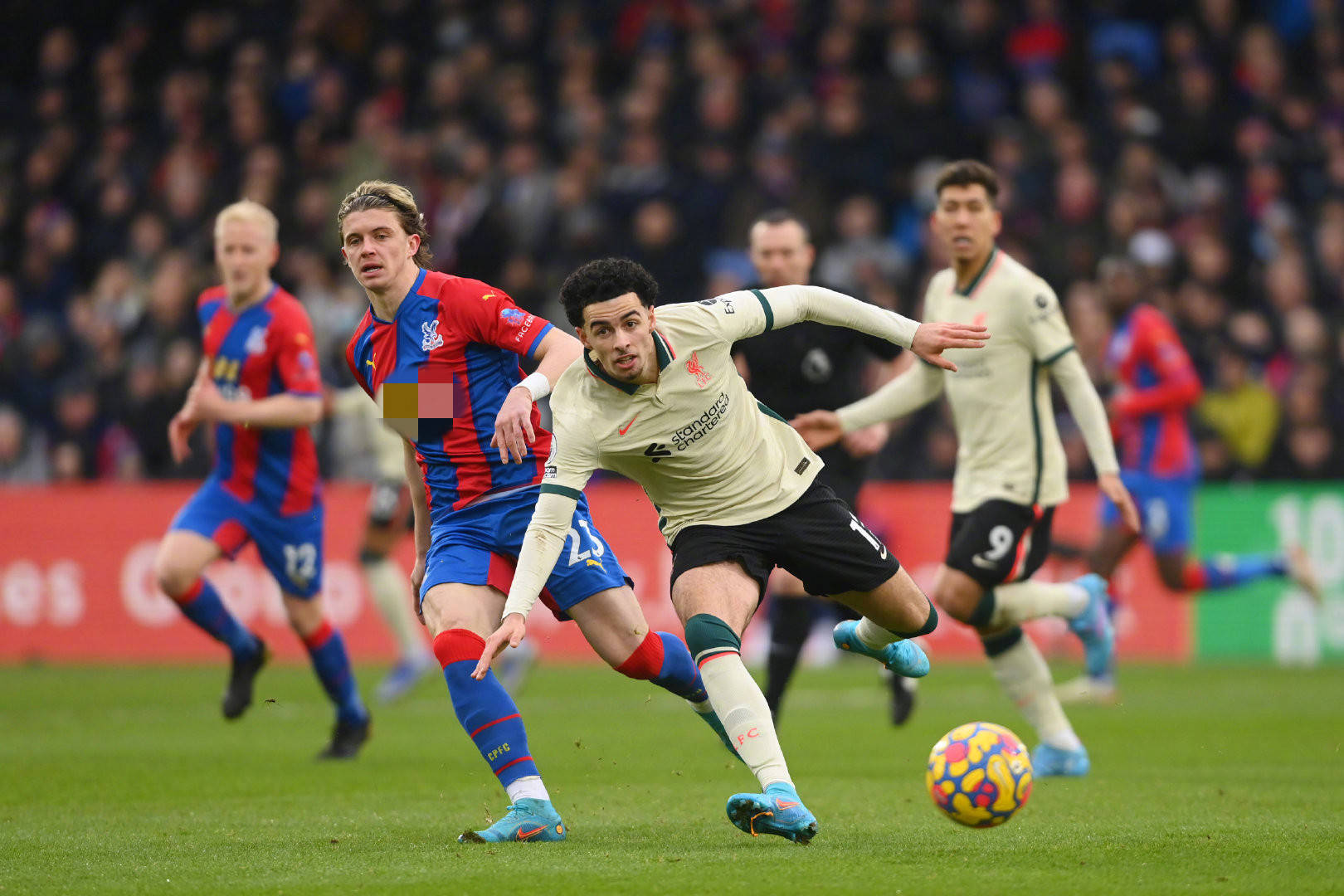 它也对整个 它也对整个