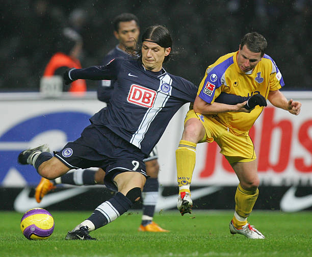 他们都为中 他们都为中